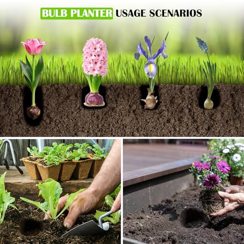 Bulb Planter Tool 34 Inch Standing, No Bend Long Handle