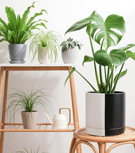 D'vine Dev 10 Inch Ceramic Planter Pot, Black White Split, 94-O-E-0 - color: Split Monochrome Black & White, size: Large