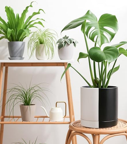 D'vine Dev 10 Inch Ceramic Planter Pot, Black White Split, 94-O-E-0 - color: Split Monochrome Black & White, size: Large
