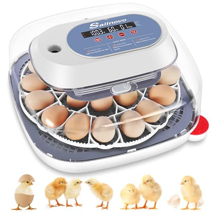 Sailnovo 24 Eggs Incubator, 4 Modes, Temp Control & Humidity Display, Azure - color: Azure, size: 24 Eggs