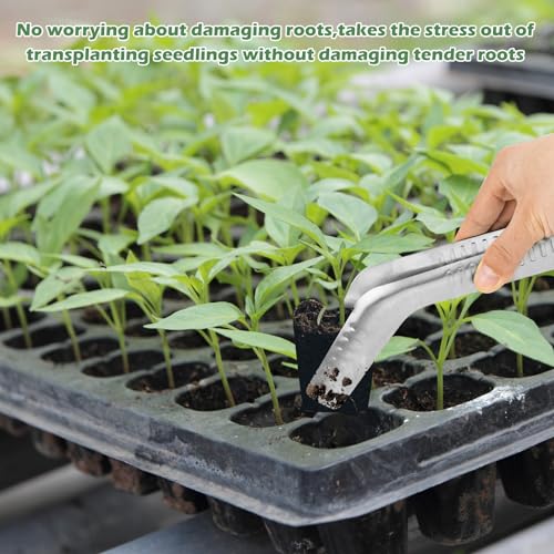 1PCS Seedling Transplant Tongs Stainless Steel Seedling Starters Remove Tongs Seedling Transplanting Tool Seedling Easy Transplanter with Anti-Slip Grasp Tips to Reduce Damage to Roots - color: 1PCS Silver
