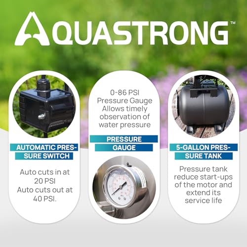 Aquastrong 115V Shallow Well Garden Pump, Stainless Steel, 1320 GPH, Automatic Water Booster Jet Pump for Home, Garden, Lawn,Irrigation,1.6 HP with Pressure Tank - color: Nsf Black