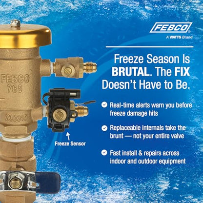 Febco 765 Bronze Pressure Vacuum Breaker Backflow Preventer 2" Inlet - size: 2 Inch, style: With Freeze Sensor