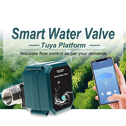 FRANKEVER DN25 Smart Water Valve WiFi Remote Control Faucet Timer 1" Hose - color: DN25