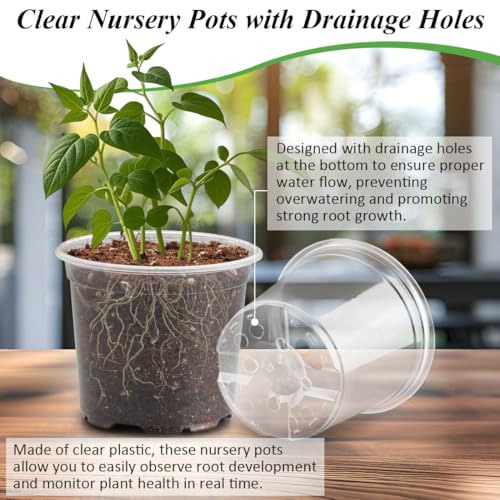 RooTrimmer Transparent Nursery Pots 4Inch with Humidity Domes for Seeds Starting, Clear Plastic Plant Pots with Drainage Holes (4Inch, 30Pcs,Clear Pots with Lids) - color: Clear Pots With Domes-30p, size: 4Inch