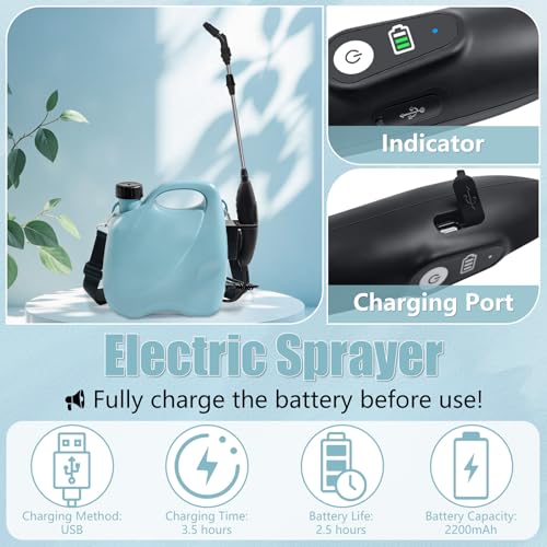 Battery Powered Sprayer 2 Gallon, Electric Pump Garden Sprayer in Lawn - size: 2