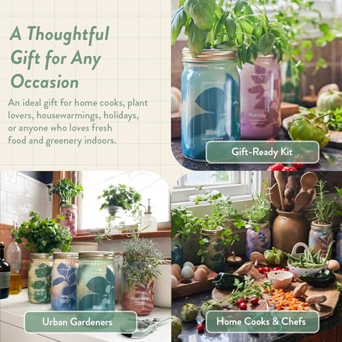 Modern Sprout Hydroponic Grow Kit Bundle with Herb Saver Set - color: Garden Jar 3pk+ Keeper