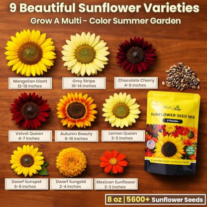 NatureZ Edge 5200+ Sunflower Seeds for Planting Bulk Variety Pack, Get More Sunflower Seeds to Plant, from Dwarf Sunflowers to Giant Sunflower Seeds, Includes Mammoth Sunflower Seeds, Non-GMO - size: 8 oz- 5200 Seeds