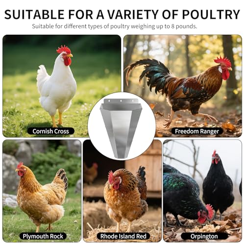 Large Chicken Cone for Butchering 2 Pack, Stainless Steel Kill Cones - size: 2pack-Large