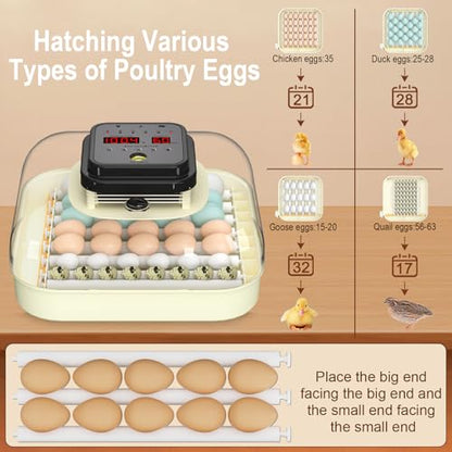 CoInceptus 35 Chicken Egg Incubator, Quail Incubator with Humidity Control