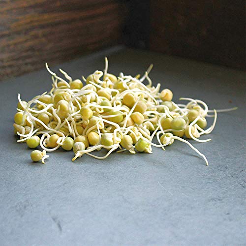 Handy Pantry Green Pea Sprouting Seed 8 Oz for Sprouts, Garden Planting - size: 0.5 pounds