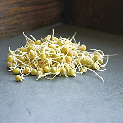 Handy Pantry Green Pea Sprouting Seed 8 Oz for Sprouts, Garden Planting - size: 0.5 pounds