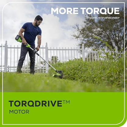 Greenworks 48V (24V x 2) 15" Cordless String Trimmer, (2) 2.0 Ah Batteries - style: 15" (2 x 2Ah)
