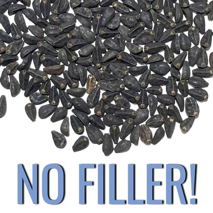 Seed Needs Morning Glory Seeds Heavenly Blue 1,000 Heirloom Seeds Bulk Pack