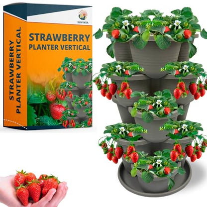 SunVara Strawberry Planter Vertical Gardening Stackable Planter Strawberry Tower 5 Tier Herb Outdoor Indoor