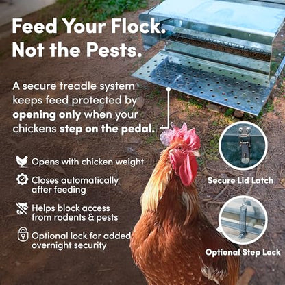 RentACoop Automatic Treadle Chicken Feeder - 25 lb Capacity - style: 25LB Treadle Feeder