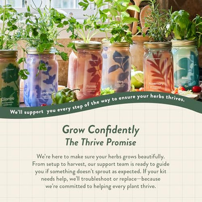 Modern Sprout Hydroponic Grow + Harvest Bundle - color: Cilantro Garden Jar + Chartreuse Shears