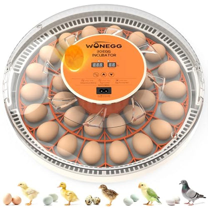 Incubator for Hatching Eggs, 30 Eggs Incubator with Automatic Egg Turning, Temperature Control & Humidity Display, LED Egg Candler, for Chicken, Quail, Parrot Eggs