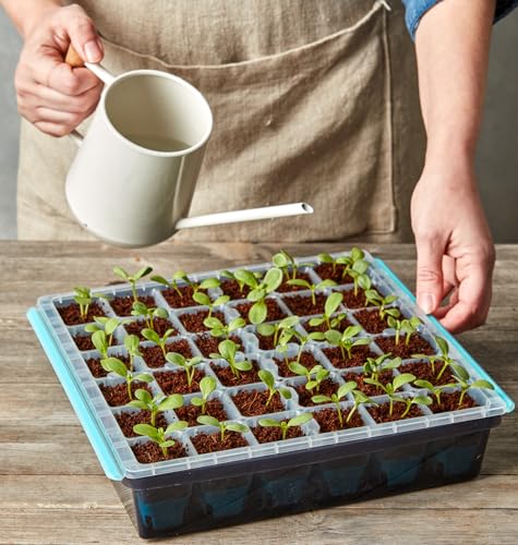 Burpee SuperSeed 36-Cell Reusable Seed Starting Tray for Indoor Seedlings - size: 36 Cells
