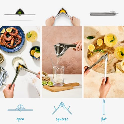 Dreamfarm Fluicer Steel Fold-Flat Citrus Juicer - Lemon - color: Stainless Steel