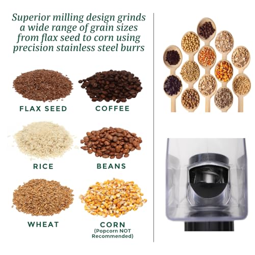 Kitchen Crop Grain Mill Wheat Flour Grinder, Stainless Steel Metal Burrs (The Grain Mill + The Motor) - size: The Grain Mill + The Motor