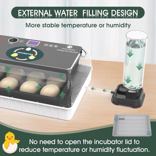 12 Egg Incubator - Automatic Egg Turner, Temperature Control, Built-in Candler, Auto Water Refill for Hatching Chicken, Duck, Quail & Bird Eggs - size: 12-EGGS