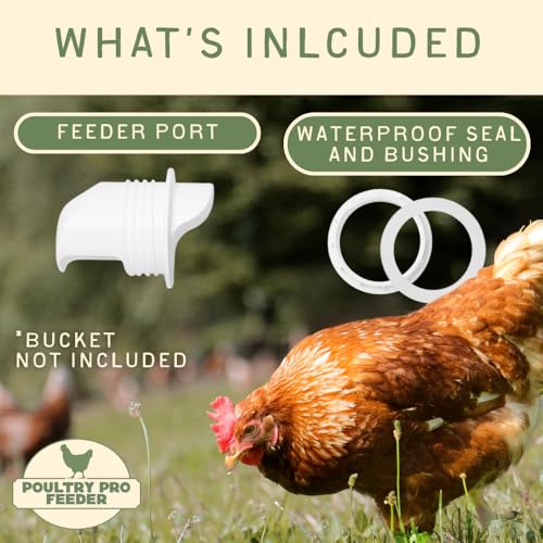 Poultry Pro DIY Chicken Feeder Kit, Poultry Feed, Weatherproof, 1 Port - style: Original Feeder 1 Pack