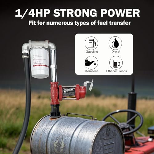12V 12GPM Fuel Transfer Pump with Particulate Filter for Gasoline Diesel