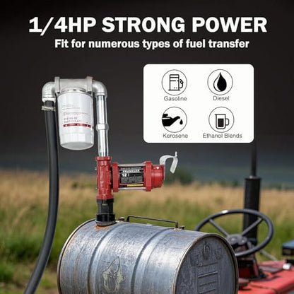 12V 12GPM Fuel Transfer Pump with Particulate Filter for Gasoline Diesel