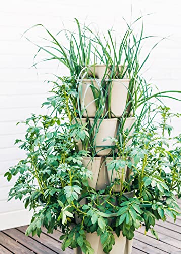 Greenstalk Patented Large 5 Tier Vertical Garden Planter with Patented Internal Watering System Great for Growing a Variety of Strawberries, Vegetables, Herbs, & Flowers (Stunning Stone) - color: Stunning Stone