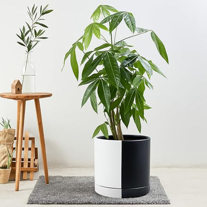 D'vine Dev 10 Inch Ceramic Planter Pot, Black White Split, 94-O-E-0 - color: Split Monochrome Black & White, size: Large