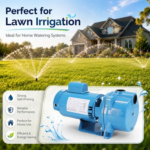 GT20 Self-Priming Centrifugal Pump, 2 HP Motor / 230 Volt
