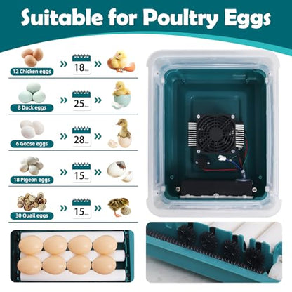 12 Eggs Incubators for Hatching with Auto Turning and Humidity Display