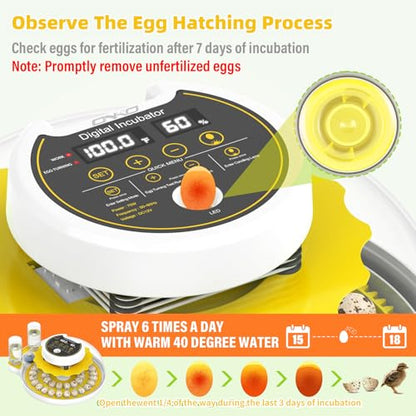40 Quail Egg Incubator with Automatic Egg Turning Humidity Control Eggs - color: Yellow
