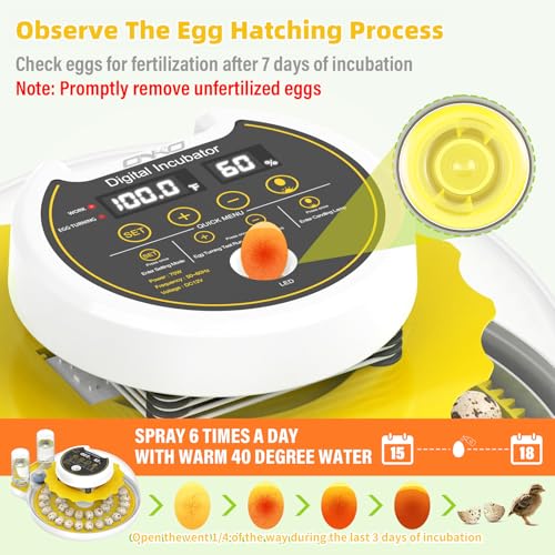 Quail Egg Incubator for Hatching 40 Quail Eggs with Automatic Turner - color: Yellow