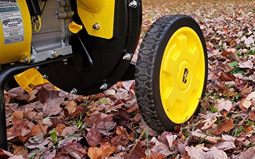Champion Power Equipment 3-Inch Portable Chipper-Shredder with Collection Bag