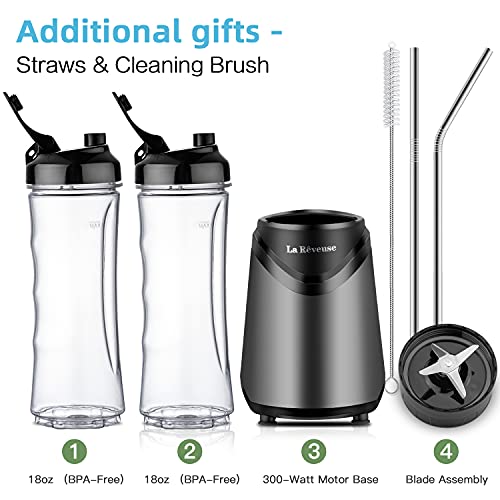 La Reveuse Personal Size Blender for Shakes and Smoothies, 2 Cups, Gray - color: Grey