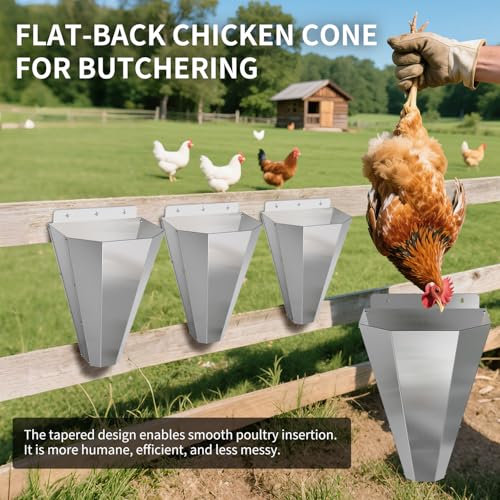 Large Chicken Cone for Butchering 2 Pack, Stainless Steel Kill Cones - size: 2pack-Large