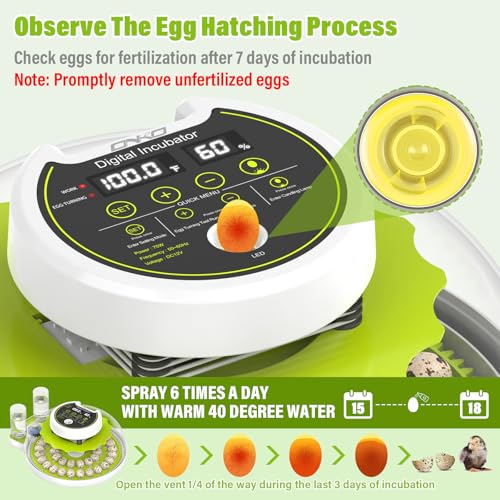 40 Quail Egg Incubator with Automatic Egg Turning Humidity Control Eggs - color: Green