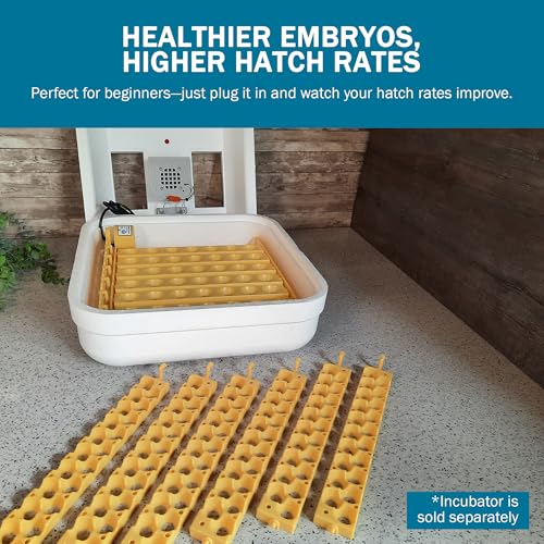 Hova-Bator GQF Automatic Egg Turner - Quail to Duck Egg