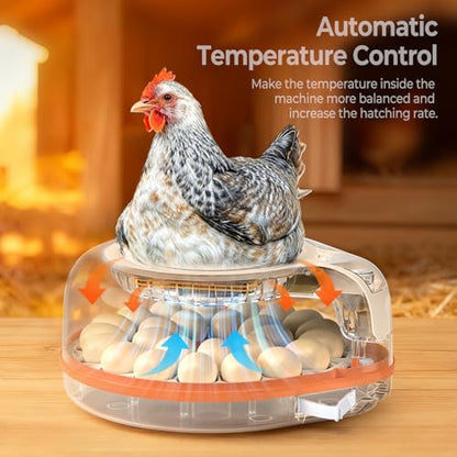 HOWOOlUA 26 Egg Incubator for Hatching Eggs withAuto Turn, Temp & Humidity Control, Built-in CandleLarge Capacity Egg Incubator for Chicken Duck Goose Eggs - size: 26-EGGS