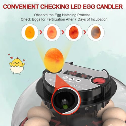 12 Egg Incubator with Auto Turner, Built-in Candler & Humidity Display - size: 12 Egg