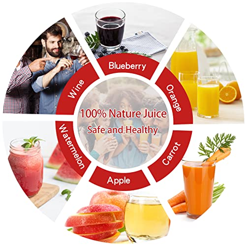 Fruit Wine Press and Crusher,100% Nature Apple&Grape&Berries Crusher Manual Juice Maker