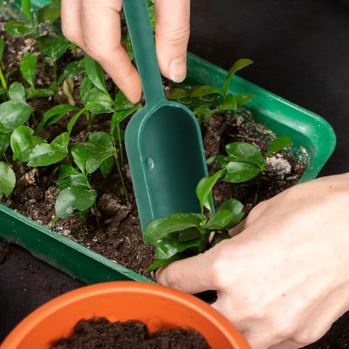 QWORK 8 Pcs Seed Dispenser Planter Tool Set, Precision Seed Planter Tool with Seed Spreaders, Dispensers, Dibbers, for Seed Placement