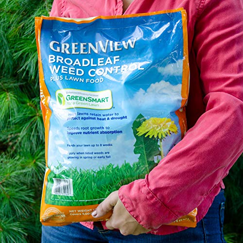 GreenView Weed and Feed 13 lb. Bag, Covers 5,000 sq. ft. - size: Covers 5,000 sq. ft.