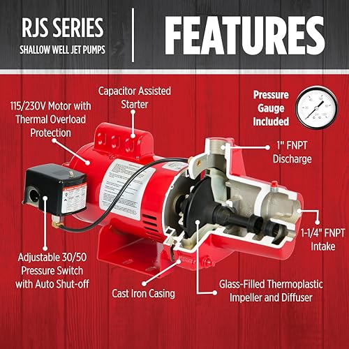 Red Lion RJS-75-PREM 115/230V, 3/4 HP, 16 GPM, Shallow Well Jet Pump - style: 3/4-HP, 16-GPM, Premium