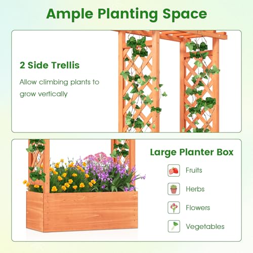 LDAILY Raised Garden Bed with Trellis, Above Ground Garden Bed with Hanging Roof, Side Trellis, & Drainage Holes, Planter Box for Outdoor Climbing Plants Vines Flowers (1, 31" L x 14" W x 60" H) - size: 31" L x 14" W x 60" H