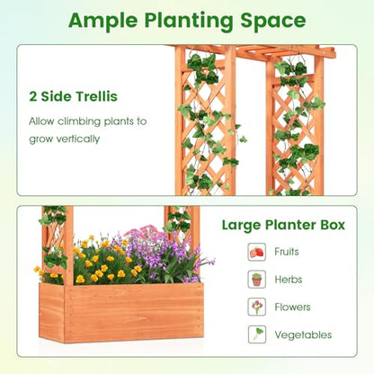 LDAILY Raised Garden Bed with Trellis, Above Ground Garden Bed with Hanging Roof, Side Trellis, & Drainage Holes, Planter Box for Outdoor Climbing Plants Vines Flowers (1, 31" L x 14" W x 60" H) - size: 31" L x 14" W x 60" H