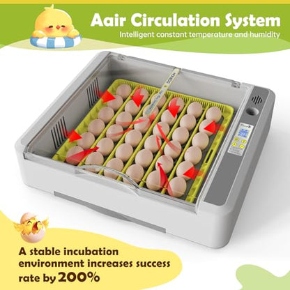 Egg Incubator for Hatching Chick, 36 Eggs Automatic Temp & Humidity Control - color: SXY-Eg36