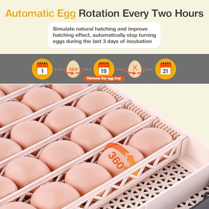 Sailnovo 48 Egg Incubator for Hatching Eggs,Ideal for Farm/School/Lab,Grey - color: Grey